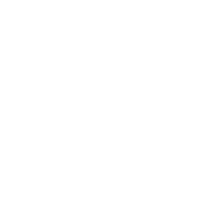 White LinkedIn Logo