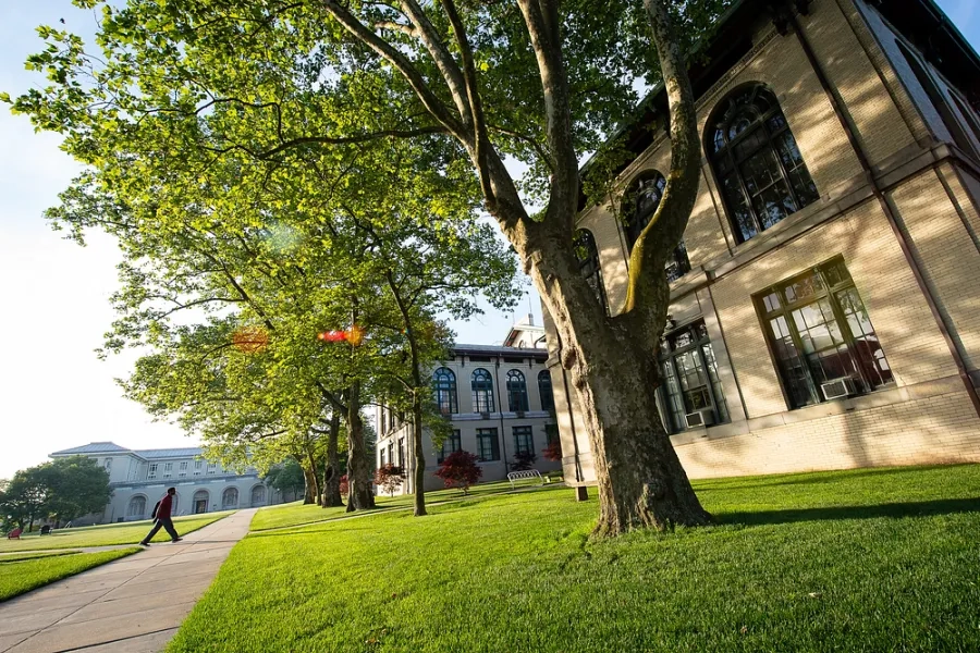 Campus outside with the sun shining on a tree